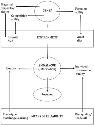 Diet-Mediated Pheromones and Signature Mixtures Can Enforce Signal Reliability